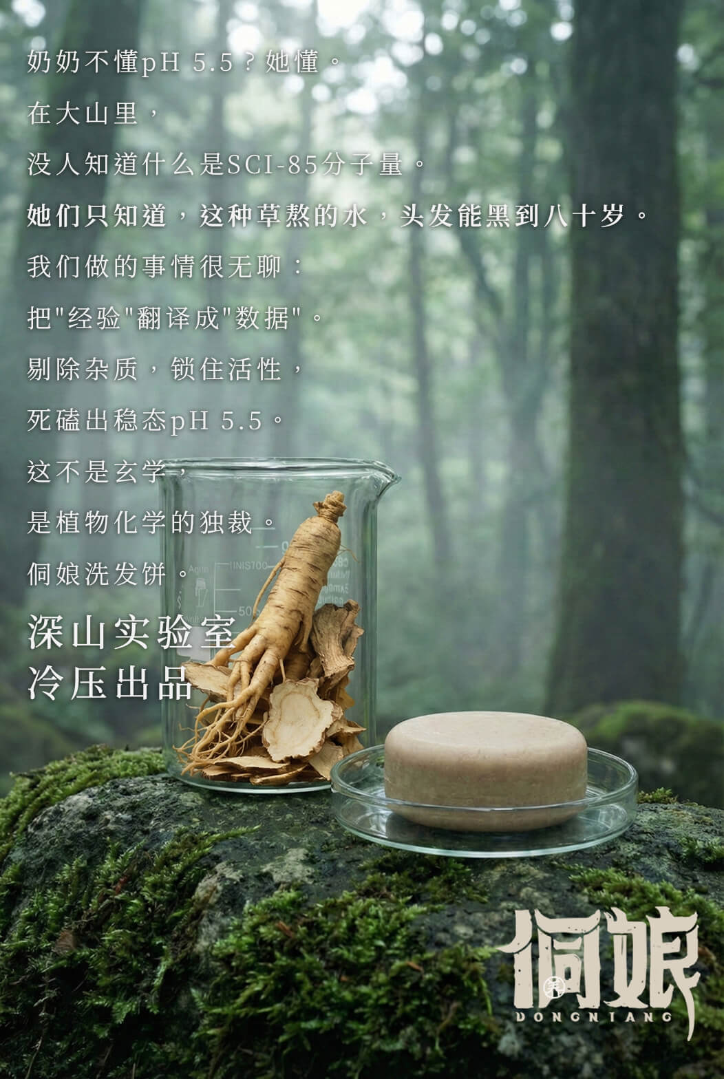 信息遁入虚无境，刷新使它不再虚无